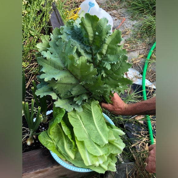 🫧🍄L.  I.  V.  E.🍄🫧 - Picture 8 of 9